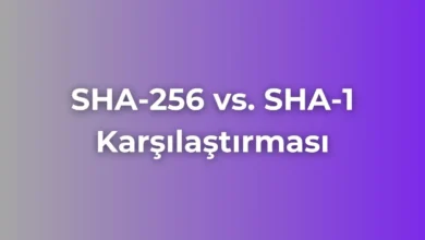 sha-1 ve sha-256